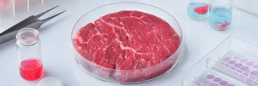 La carne cultivada ya es legal en Europa: ¿el futuro de la alimentación vegana sin sacrificios?